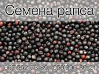 В нашем магазине вы можете купить семена рапса от украинских производителей, с гарантией качества и быстрой доставкой почтой!